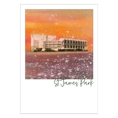 St James' Park Post Card